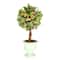 14&#x27;&#x27; Multicolor Mini Spring Mistletoe Tree with Berries in Potted Pulp